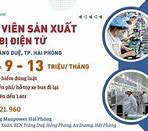 Cty Vựa Miền Trung Hải Phòng Tuyển Dụng 2024