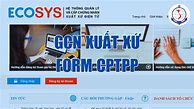 Giấy Chứng Nhận Xuất Xứ Cptpp