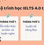 Ielts 4.0 Miễn Thi Tốt Nghiệp 2025