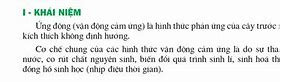 Khái Niệm Ứng Động Các Kiểu Ứng Động