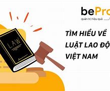 Luật Lao Động Việt Nam Điều Chỉnh Quan Hệ Lao Động Nào Trong Những Quan Hệ Lao Động Sau Đây