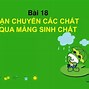 Màng Sinh Chất Có Cấu Trúc Động Là Nhờ Đặc Điểm Nào Sau Đây