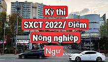 Thông Tin Xkld Hàn Quốc 2022 Mới Nhất Về Pc Cũ Giá Bao Nhiêu