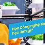 Viện Công Nghệ Sinh Học Và Môi Trường Đại Học Nha Trang